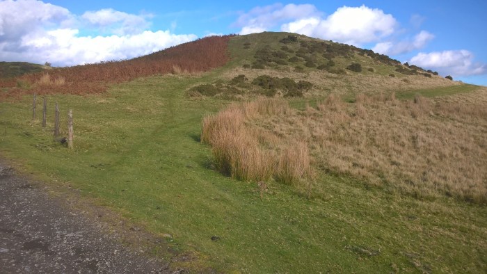 wp_20161016_12_03_15_pro