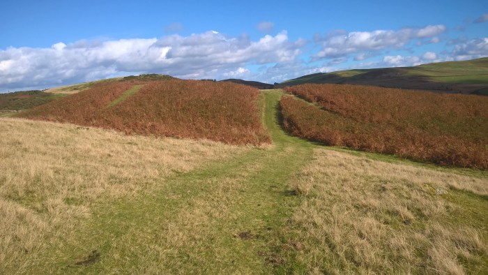 wp_20161016_12_10_45_pro