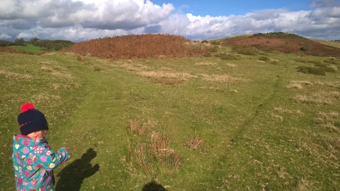 WP_20161016_12_12_11_Pro (2).jpg