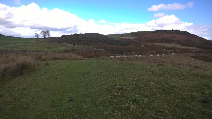 wp_20161016_12_14_06_pro