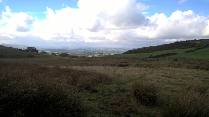 wp_20161016_12_14_12_pro