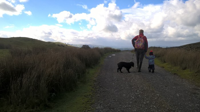 wp_20161016_12_16_07_pro