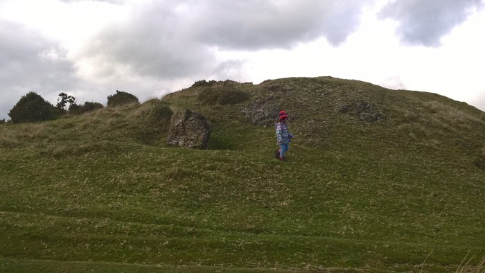 WP_20161016_12_31_27_Pro (2).jpg