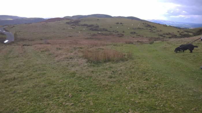 wp_20161016_12_33_08_pro