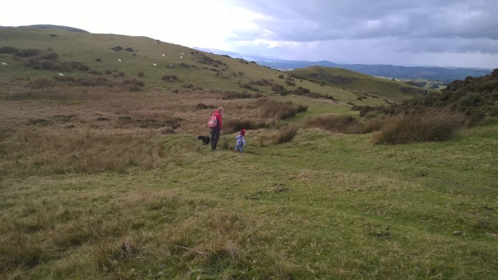 wp_20161016_12_34_05_pro