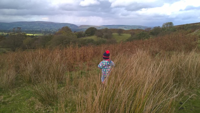 wp_20161016_12_35_37_pro