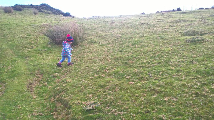 wp_20161016_12_37_46_pro