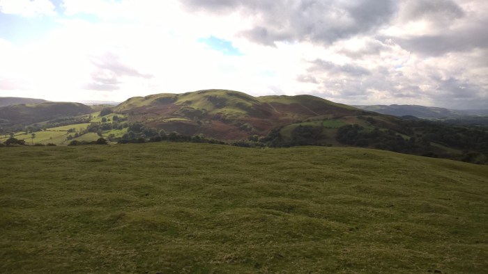 wp_20161016_12_51_29_pro