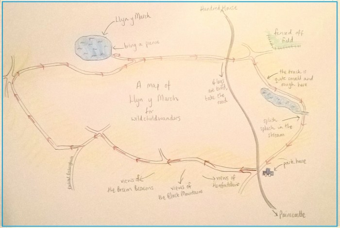 LlynyMarchdrawnmap.jpg