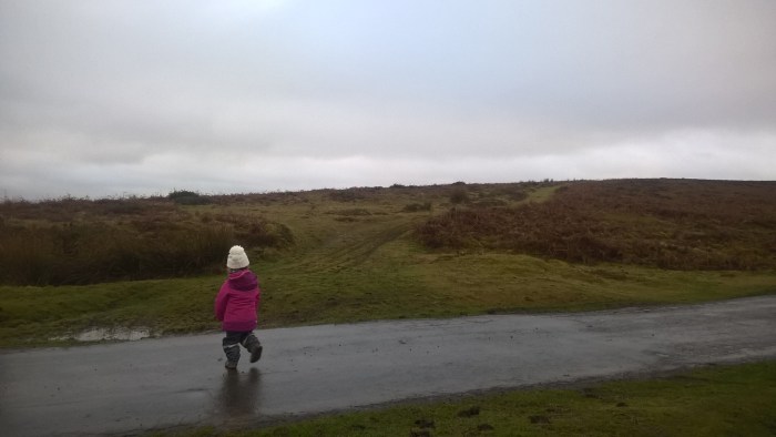 wp_20170108_15_11_38_pro