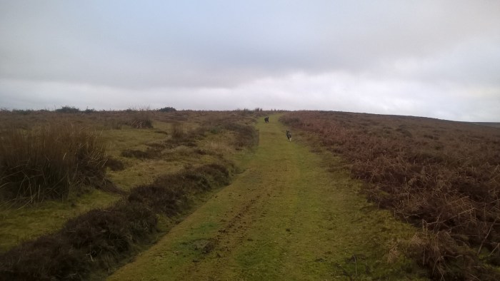 wp_20170108_15_13_27_pro