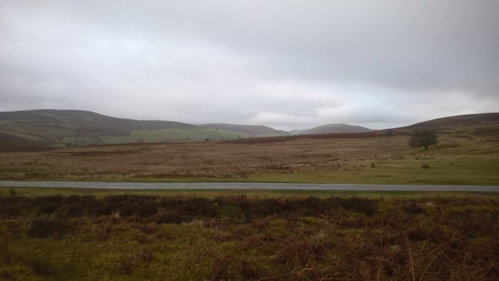 wp_20170108_15_13_34_pro