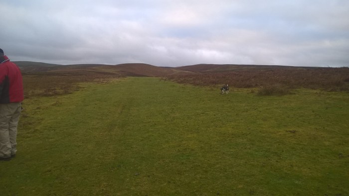 wp_20170108_15_21_44_pro