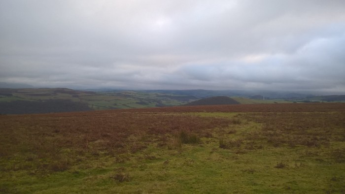 wp_20170108_15_21_51_pro