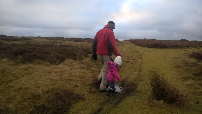 wp_20170108_15_27_16_pro