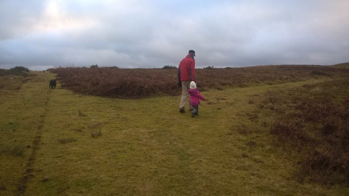 wp_20170108_15_27_33_pro