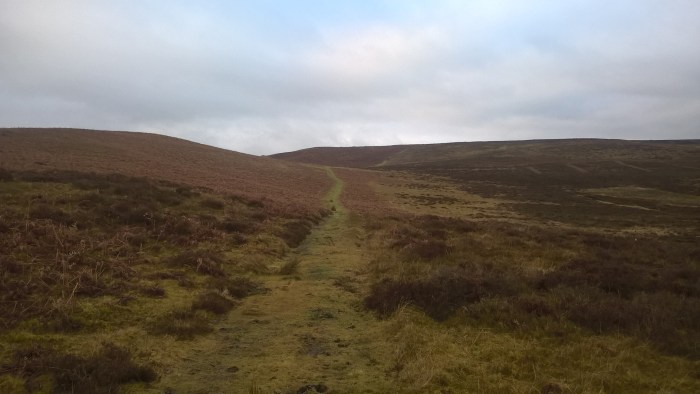 wp_20170108_15_31_34_pro