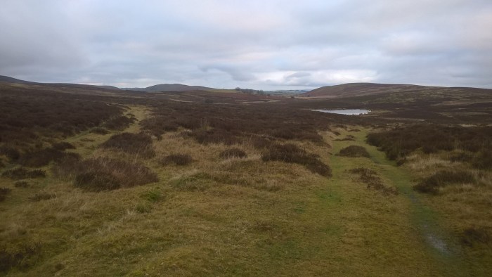 wp_20170108_15_40_01_pro