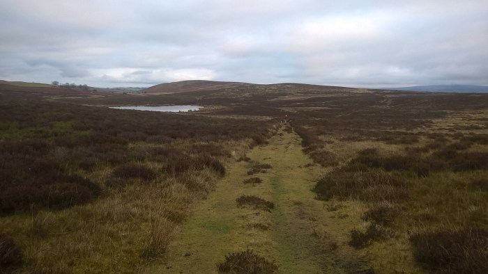 wp_20170108_15_41_00_pro