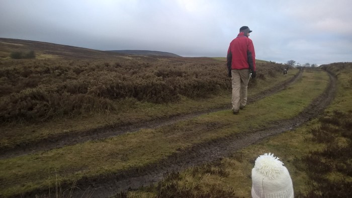 wp_20170108_15_49_22_pro