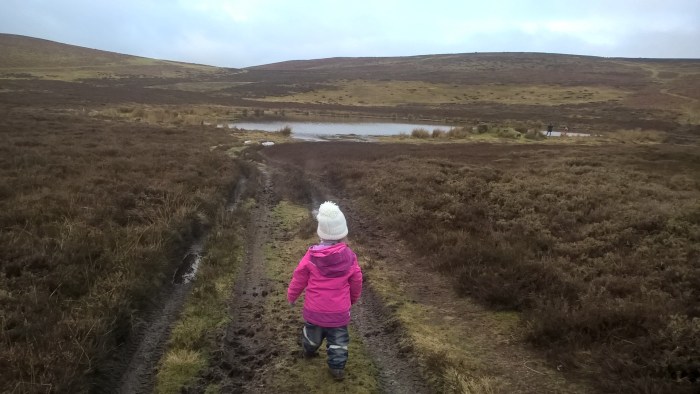 wp_20170108_15_49_37_pro