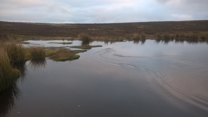 wp_20170108_15_54_49_pro