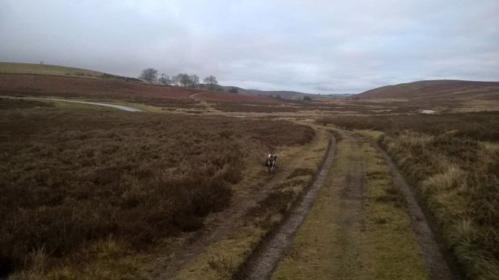 wp_20170108_16_03_22_pro