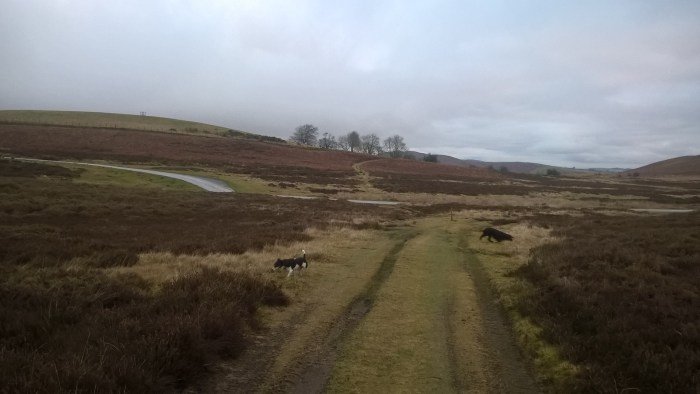 wp_20170108_16_03_59_pro