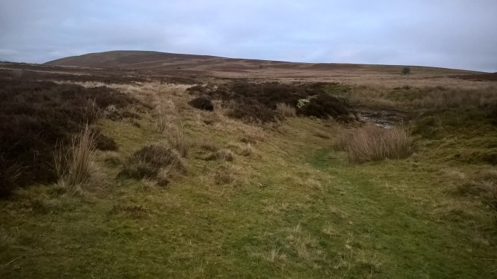 wp_20170108_16_08_40_pro