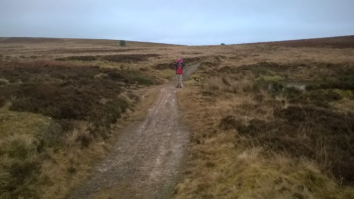 wp_20170108_16_13_19_pro