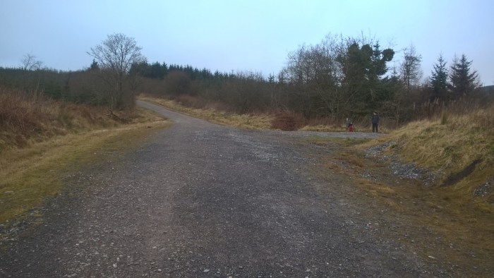 wp_20170116_14_12_03_pro