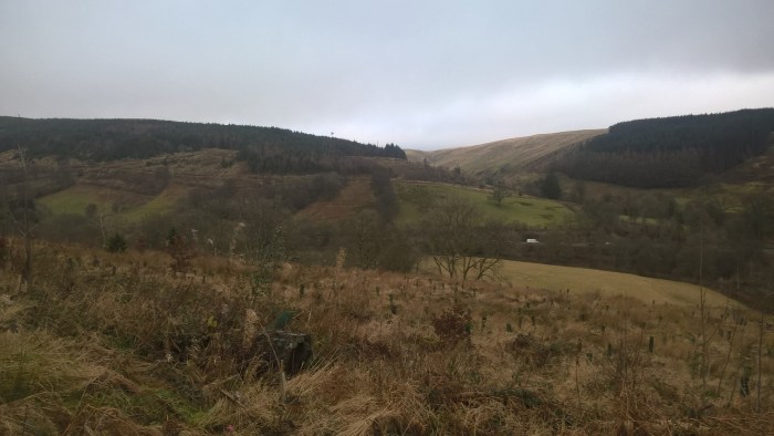 wp_20170116_14_33_27_pro