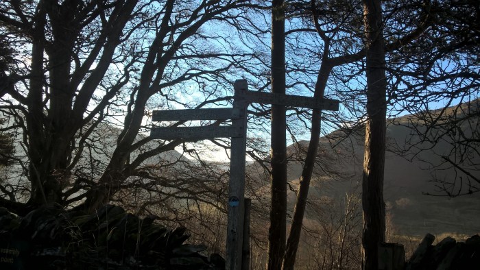 wp_20170123_14_40_37_pro