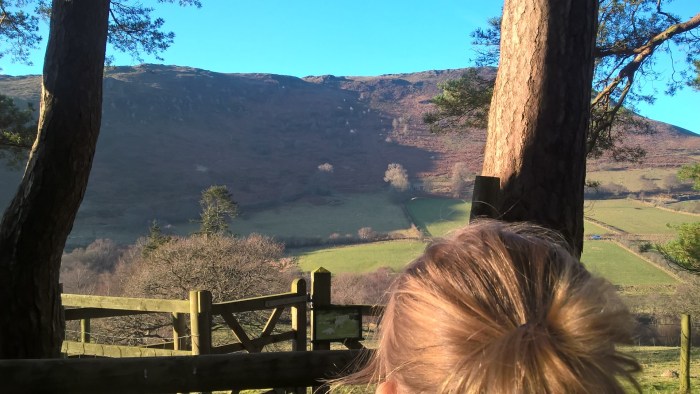 wp_20170123_14_41_45_pro