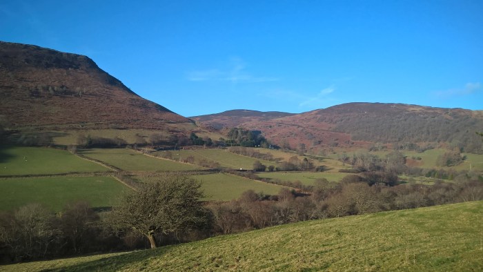 wp_20170123_14_44_05_pro