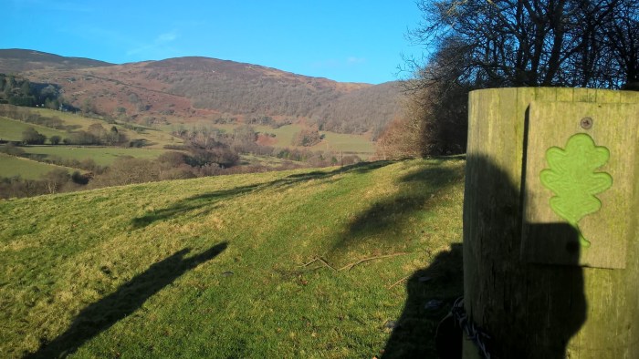 wp_20170123_14_44_50_pro