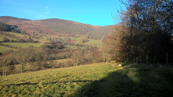 wp_20170123_14_45_58_pro