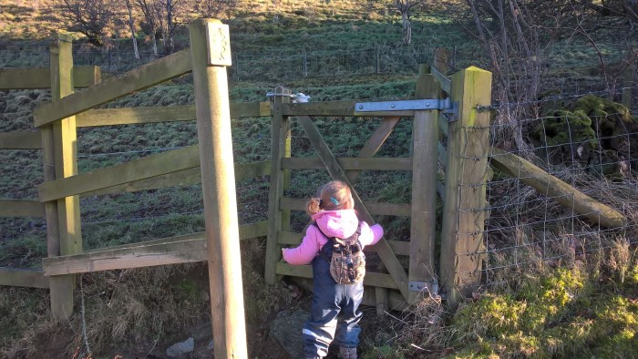 wp_20170123_14_47_25_pro