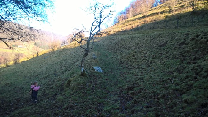 wp_20170123_14_48_35_pro