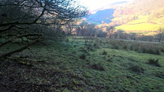 wp_20170123_15_06_23_pro