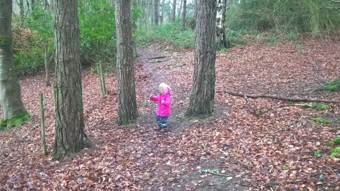 wp_20170205_11_08_50_pro-2