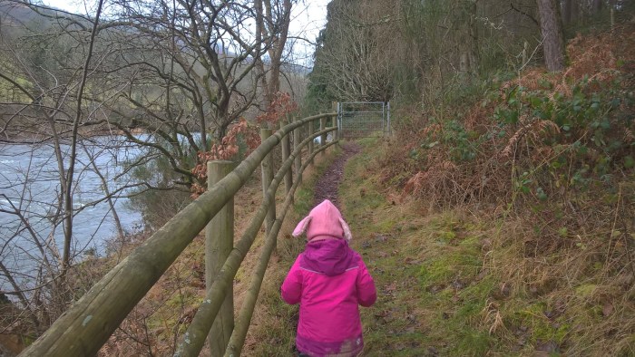 wp_20170205_11_14_13_pro