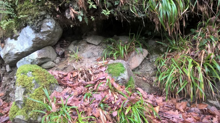 wp_20170205_11_29_59_pro