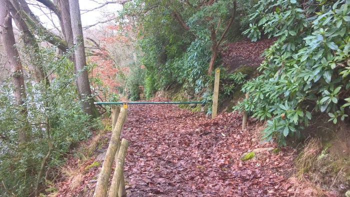 wp_20170205_11_34_41_pro