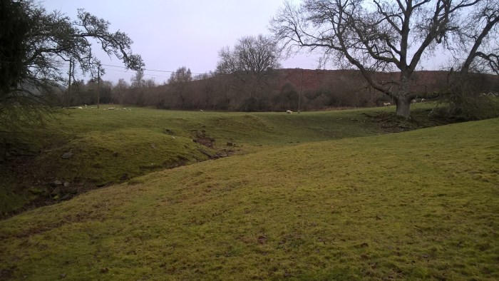 wp_20170205_11_38_03_pro