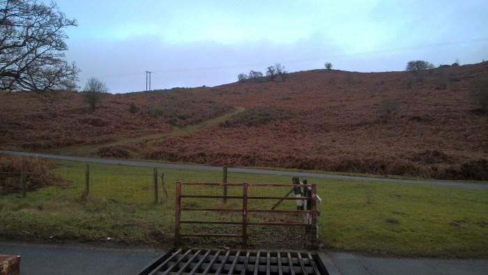 wp_20170205_11_50_22_pro