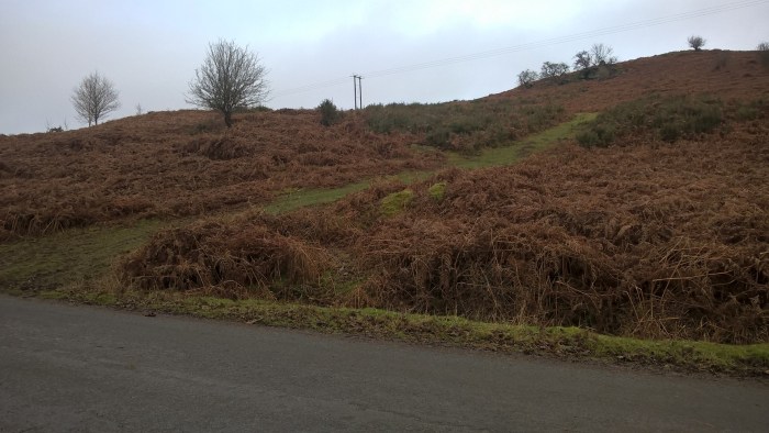 wp_20170205_11_51_38_pro