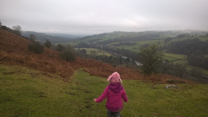 wp_20170205_12_16_24_pro