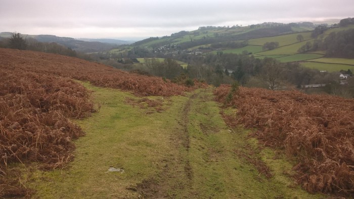 wp_20170205_12_20_51_pro