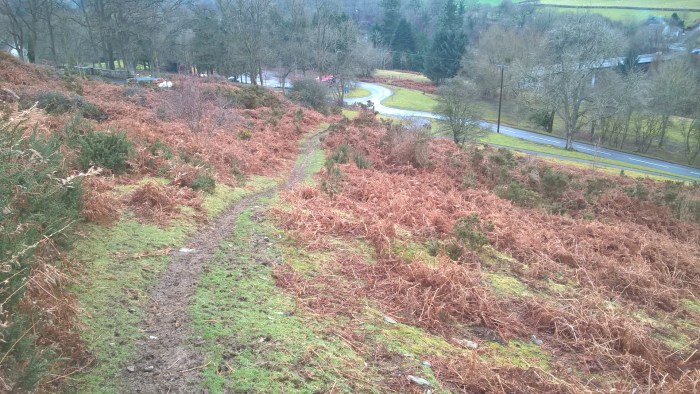 wp_20170205_12_24_07_pro